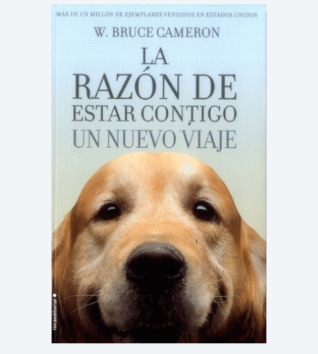 La razón de estar contigo. Un nuevo viaje.