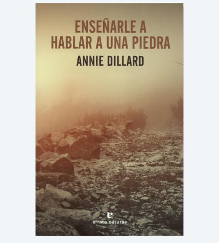 Enseñarle a hablar a una piedra