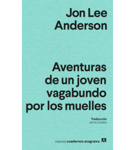 Aventuras de un joven vagabundo